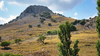 Fototapeta na wymiar landscape of an imposing volcanic mountain and sky cloud with various trees on the slope of the valley, Imbros Island, Gokceada, Canakkale Turkey