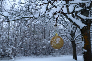 Christmas bauble hanging from a snow covered tree outside. Winter 2022. Gold color. Stockholm, Sweden, Scandinavia, Europe.