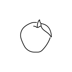 Quince fruit line icon. linear style sign for mobile concept and web design.