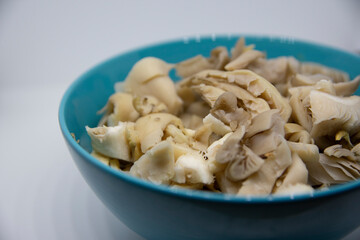 Oyster mushroom, sliced ​​in a bowl
