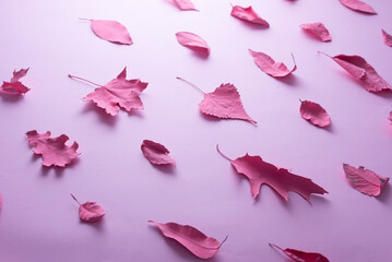 pink autumn leaves on pink background minimal composition