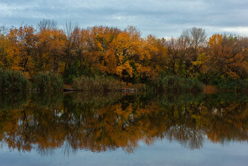 Fototapeta na wymiar autumn evening landscape of trees in the reflection of the river. gold autumn