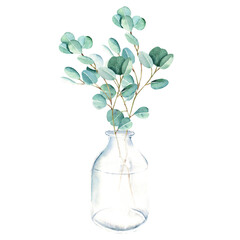Eucalyptus branch in vase, bottle, jar. Silver dollar. Watercolor hand drawn botanical illustration isolated on white background. Eco minimalistic style for greeting card, poster.