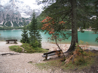 On the trails around Braies Lake in the fall. Dolomites, Italy.