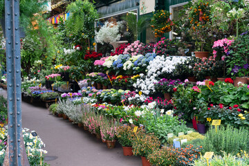 Fototapeta na wymiar Paris flower market