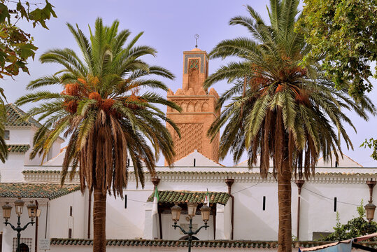 THE CITY OF TLEMCEN IN ALGERIA WITH THE GREAT MOSQUE AND THE RUINS OF MANSOURAH MINARET