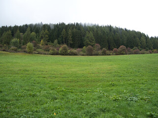A walk on a rainy and foggy morning in the municipality of Dobbiaco. Autonomous Province of Bolzano - South Tyrol. Dolomites, Italy.