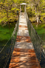 Obraz premium wooden bridge in the forest in Paatagonia Argentina.