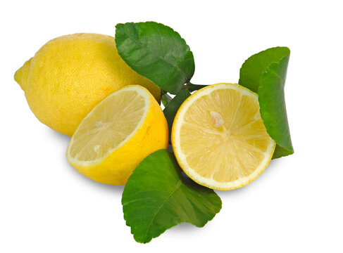 Citrons jaune avec feuille