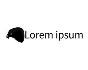 Bird of prey, hawk animal vector logo design.