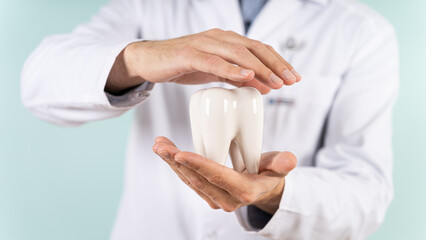 Health dental care concept. Dentist holds white healthy tooth model in his hands on a blue...