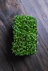 Fresh micro greens in a plastic box on wood