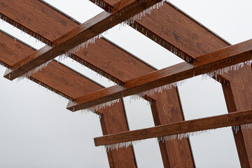 wood ice