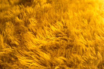 textured background of yellow fur