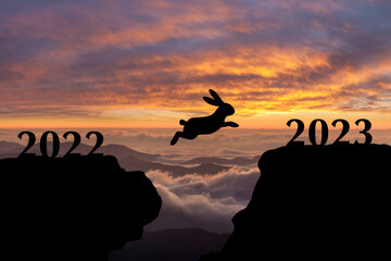 New year 2023 concept with rabbit
