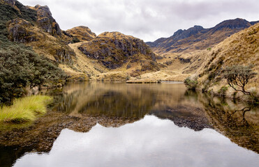 Fototapeta na wymiar Mountains and plants reflection on a lake in Cajas National Park in the Andean highlands of Ecuador,.
