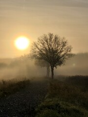 Obraz premium misty morning sunrise
