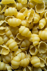 Flat lat of uncooked Gnocchetti pasta shells, top view of gnocchi pasta shells, dry uncooked macaroni
