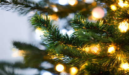 Obraz premium natal, design, background, pattern