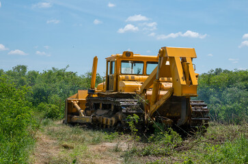 Bulldozer. Forestry Mulching