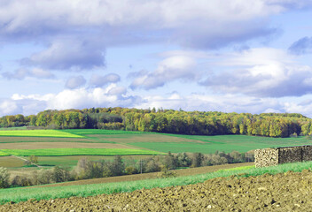 Fototapeta na wymiar Margraves' land (Markgräflerland) with rural landscapes, countryside and colored fields between Kander and Upper Rhine valleys around Wollbach village at the foot of the Black Forest 