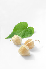 Still life with three ripe physalis fruits in husks and green leaf of physalis peruviana on white background