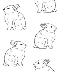 Vector seamless pattern of hand drawn doodle sketch bunny rabbit isolated on white background