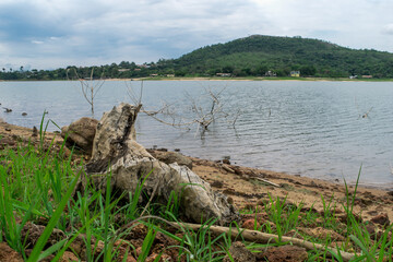 Linda vista da orla da lagoa V&aacute;rzea das Flores em contagem, resto de tronco de &aacute;rvore e vegeta&ccedil;&atilde;o rasteira, c&eacute;u com muitas nuvens e constru&ccedil;&otilde;es ao fundo.