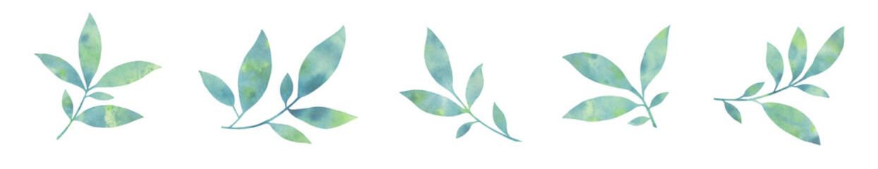 set of watercolor leaves. graceful leaves for design, postcards, invitations, prints. Delicate branches illustration