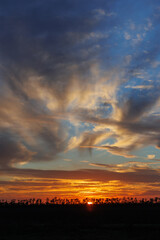 Fototapeta premium sunset view, nature sun and forest at sunset. the sky and clouds are orange. summer sky and air. background