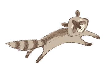 Vector illustration of cute raccoon. Isolated element.