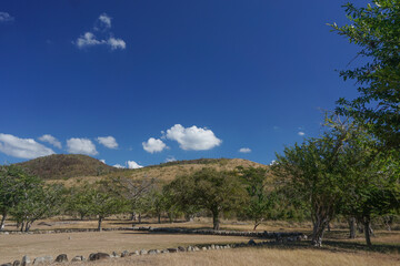 Fototapeta na wymiar Ponce, Puerto Rico, USA: Main plaza at the Tibes Indigenous Ceremonial Center, an archaeological site built and inhabited by the ancient Igneri and Tainos tribes.