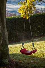 Garden swing on a bright autumn day with trees displaying golden leaves. Light shines over the fields and shadows are cast on the leaf laden grass. Isolation happy concept. copy space.