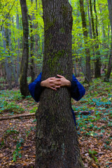 Woman giving a hug to the tree in the forest. Environmental activism concept