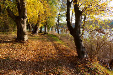 Autumn trail around the lake