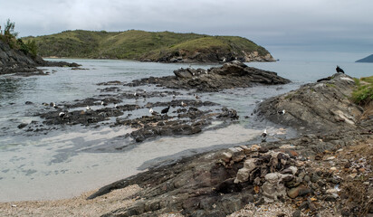 Praias em volta do Forte São Mateus em Cabo Frio, lindos pássaros passeando entre as rochas, a água do mar em volta delas.