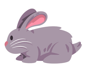 Rabbits bunnies or bunny cute adorable animal with furry hair in grey color