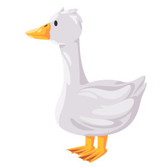 Goose white swan standing vector drawing illustration