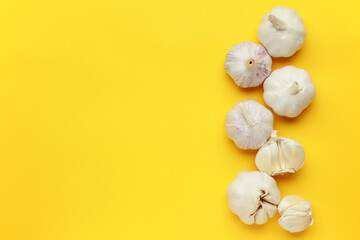 Fresh white unpeeled head bulb of garlic on yellow color background. Vegan, organic, vitamins. Natural antibiotic, antioxidant, Allicin. Top view. Flat lay. Copy space for text