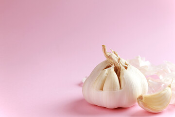 Fresh white unpeeled head bulb of garlic and garlic cloves on pink color background. Vegan, organic, vitamins. Natural antibiotic, antioxidant, Allicin. Copy space for text