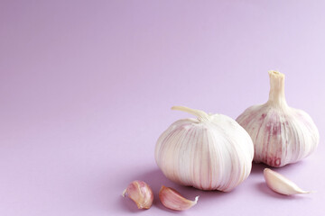 Obraz na płótnie Canvas Fresh white unpeeled head bulb of garlic and garlic cloves on lilac, violet, purple color background. Vegan, organic, vitamins. Natural antibiotic, antioxidant, Allicin. Copy space for text