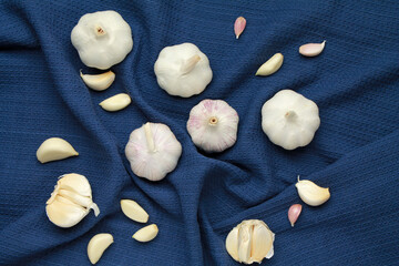Fresh white unpeeled head bulb of garlic and garlic cloves on blue color cloth fabric background. Vegan, organic, vitamins. Natural antibiotic, antioxidant, Allicin. Top view. Flat lay