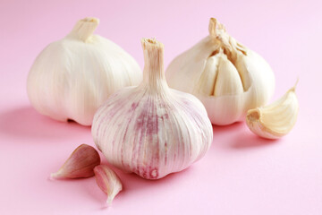 Obraz na płótnie Canvas Fresh white unpeeled head bulb of garlic and garlic cloves on pink color background. Vegan, organic, vitamins. Natural antibiotic, antioxidant, Allicin. 