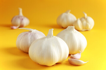 Fresh white unpeeled head bulb of garlic and garlic cloves on yellow color background. Vegan, organic, vitamins. Natural antibiotic, antioxidant, Allicin. 
