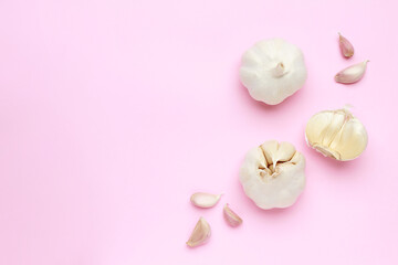 Fresh white unpeeled head bulb of garlic and garlic cloves on pink color background. Vegan, organic, vitamins. Natural antibiotic, antioxidant, Allicin. Top view. Flat lay. Copy space for text