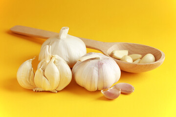 Fresh white unpeeled head bulb of garlic and garlic cloves on yellow color background with wooden spoon. Vegan, organic, vitamins. Natural antibiotic, antioxidant, Allicin. 