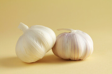 Fresh white unpeeled head bulb of garlic on yellow color background. Vegan, organic, vitamins. Natural antibiotic, antioxidant, Allicin. 