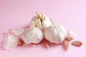 Fresh white unpeeled head bulb of garlic and garlic cloves peel on pink color background. Vegan, organic, vitamins. Natural antibiotic, antioxidant, Allicin. 
