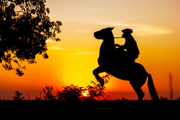 Silhouette of gaucho on his horse with front legs up next to an Ombu at the golden hour in Corrientes, Argentina.