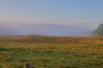 Misty morning in Sydkoster